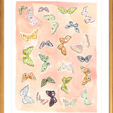 Butterfly Rainbow Coral, Fine Art Print