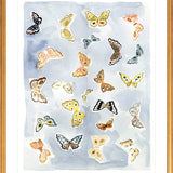 Butterfly Rainbow Chambray, Fine Art Print