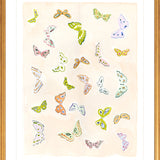 Butterfly Rainbow Blush, Fine Art Print