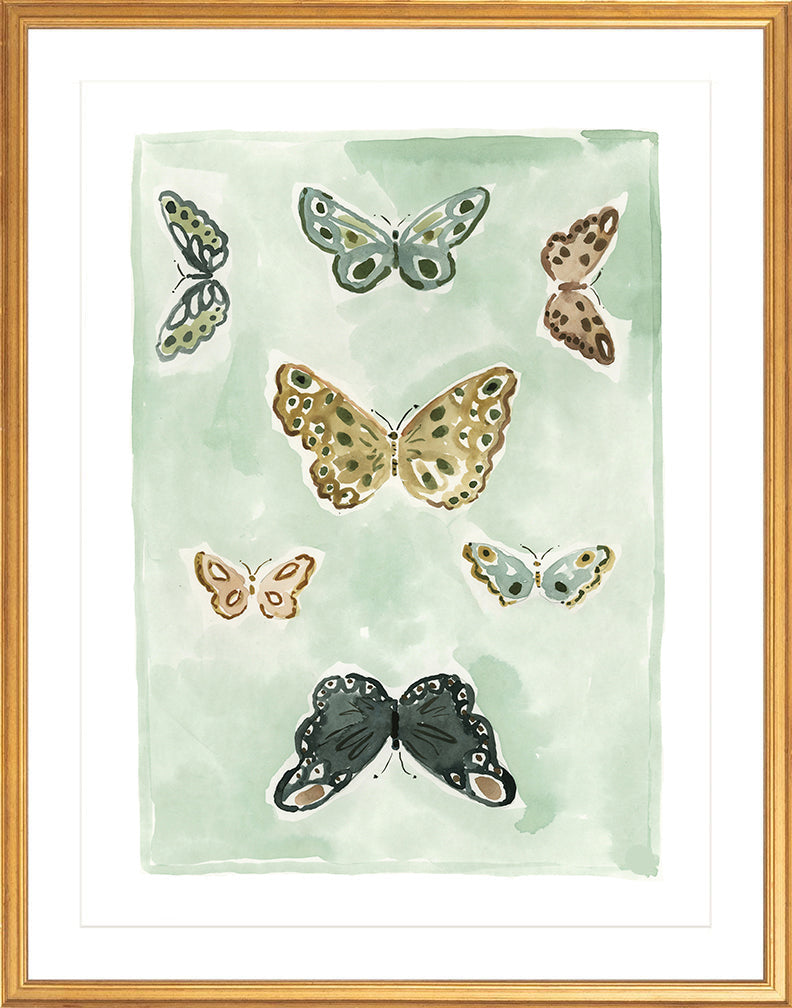 Butterfly Rainbow Mint, Fine Art Print