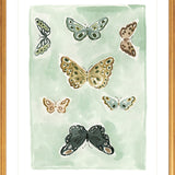 Butterfly Rainbow Mint, Fine Art Print