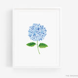 Hydrangea Art Print