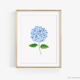 Hydrangea Art Print