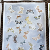 Butterfly Chambray, Original 16x20