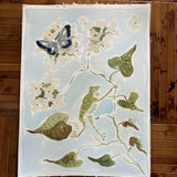 Botanical Sky No. 2, Original 9x12