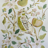Apple Picking Kingbird, Original 11x14