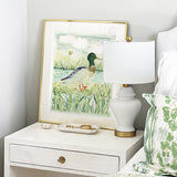 The "Mallard Walk" Fine Art Print