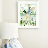 The "Mallard Jump" Fine Art Print