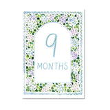 Baby Milestone Cards: Whimsical Set