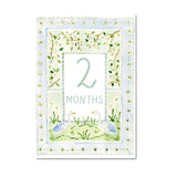 Baby Milestone Cards: Whimsical Set