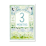 Baby Milestone Cards: Whimsical Set