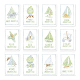 Baby Milestone Cards: Menagerie Blue Set