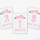 Pink Hydrangea Scalloped Monthly Milestone Cards