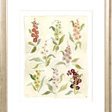 The "Herbarium Reds" Florilegium Series, Fine Art Print