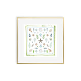 Seashell Scarf, Fine Art Print