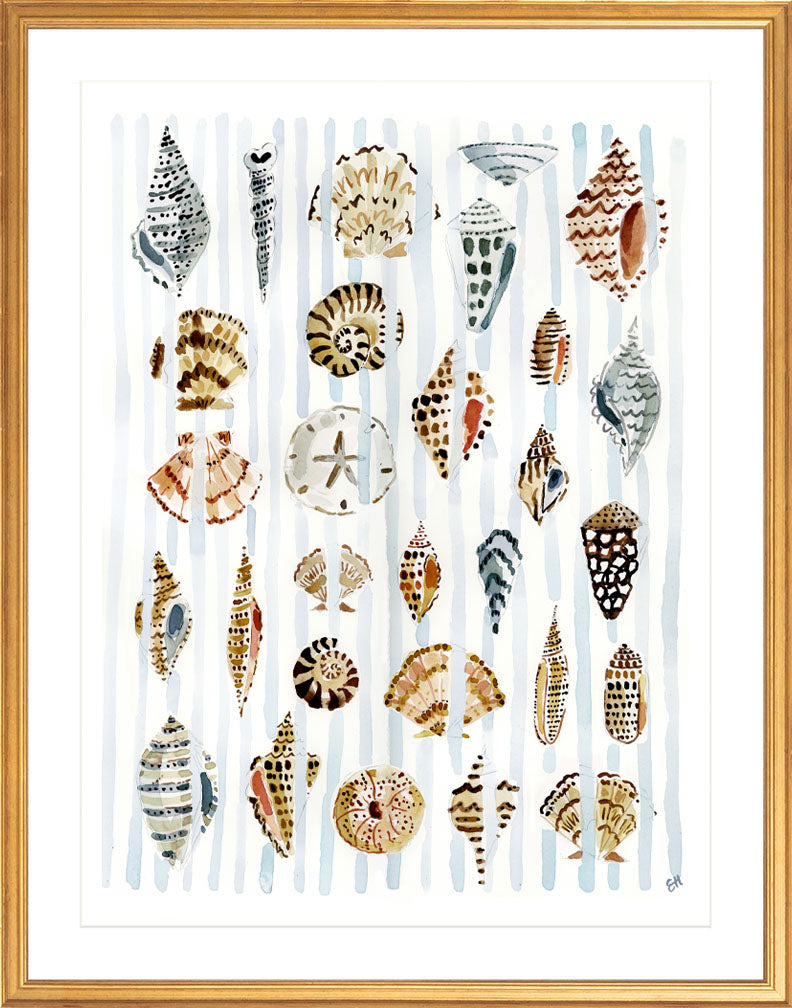 The "Shells and Stripes" Watercolor Fine Art Print