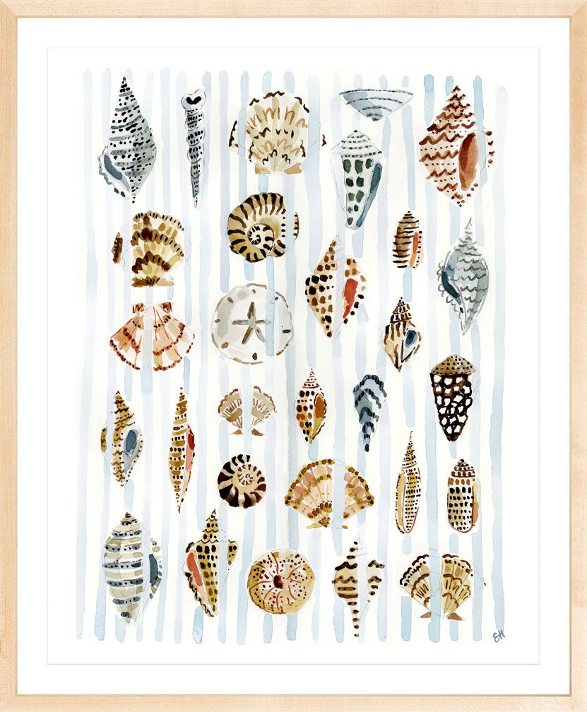 The "Shells and Stripes" Watercolor Fine Art Print