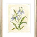 The "Iris Study" Florilegium Series, Fine Art Print