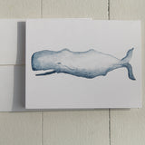 Watercolor Sperm Whale Note Card (single card)