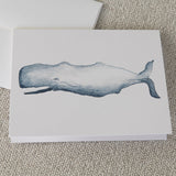 Watercolor Sperm Whale Note Card (single card)