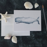 Watercolor Sperm Whale Note Card (single card)