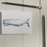 Watercolor Sperm Whale Note Card (single card)