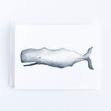 Watercolor Sperm Whale Note Card (single card)