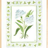 The "Clover Charms" Watercolor Fine Art Print, Flower Charm Series
