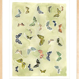 Butterfly Rainbow Matcha, Fine Art Print