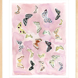 Butterfly Rainbow Lilac, Fine Art Print