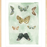 Butterfly Rainbow Mint, Fine Art Print