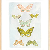Butterfly Rainbow Sky, Fine Art Print