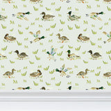 Mallards Mint Wallpaper