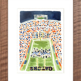 "Ben Hill Griffin Stadium" Fine Art Print