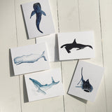 Watercolor Sperm Whale Note Card (single card)