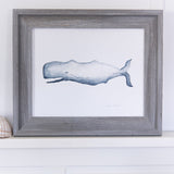 Whale Print