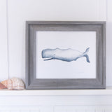 Whale Print