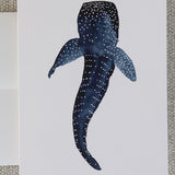 Watercolor Whale Shark from Above Note Card (single card)