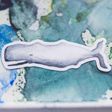 Whale Sticker