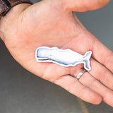 Whale Sticker