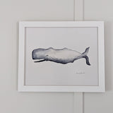 Whale Print