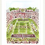"Doak S. Campbell Stadium" Fine Art Print