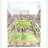 "Williams-Brice Stadium" Fine Art Print