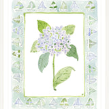 The "Sailboat Charms" Watercolor Fine Art Print, Flower Charm Series