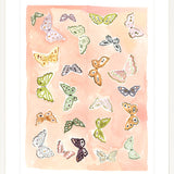 Butterfly Rainbow Coral, Fine Art Print