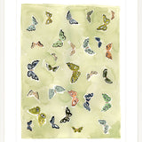 Butterfly Rainbow Matcha, Fine Art Print