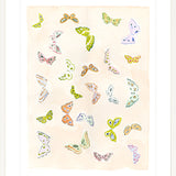 Butterfly Rainbow Blush, Fine Art Print