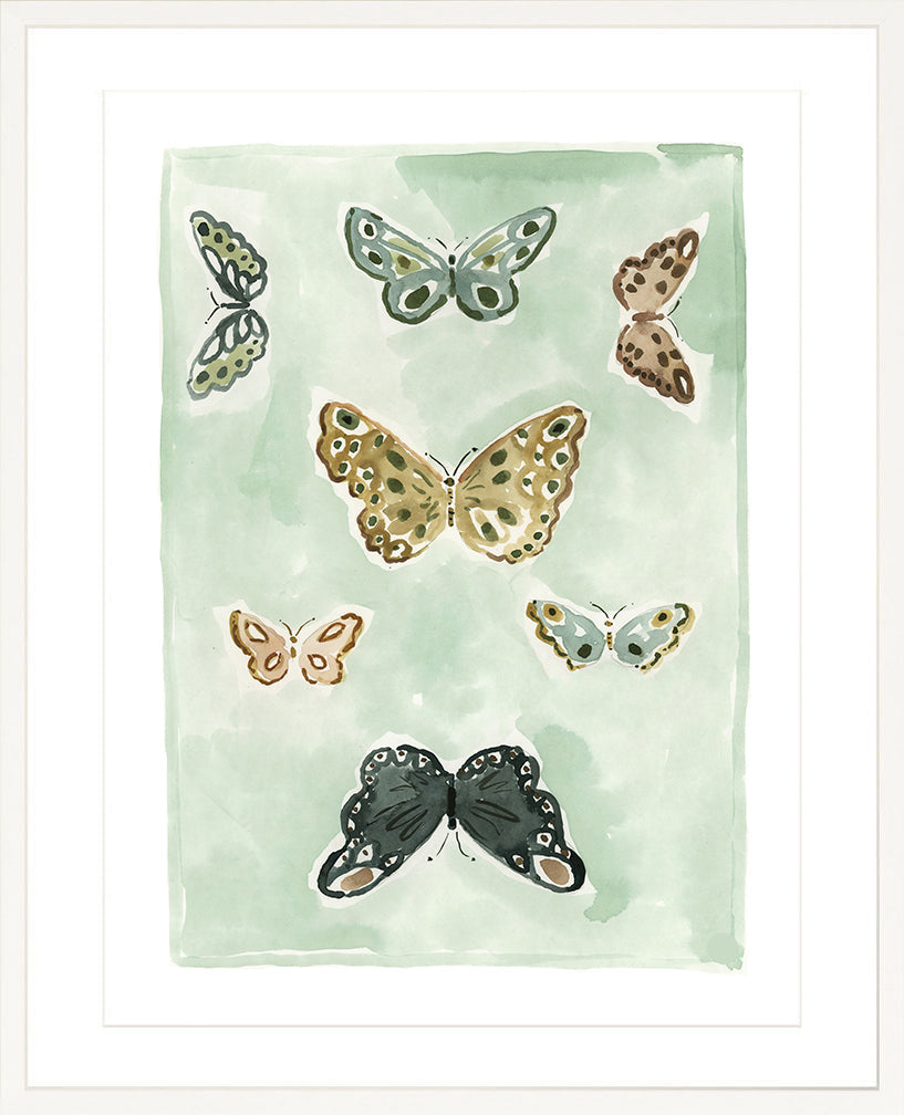 Butterfly Rainbow Mint, Fine Art Print
