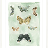 Butterfly Rainbow Mint, Fine Art Print