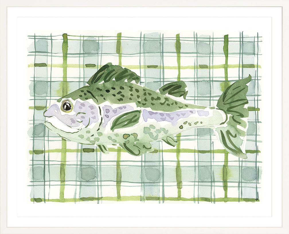 The "Plaid Saltwater Fish" Watercolor Animal Fine Art Print
